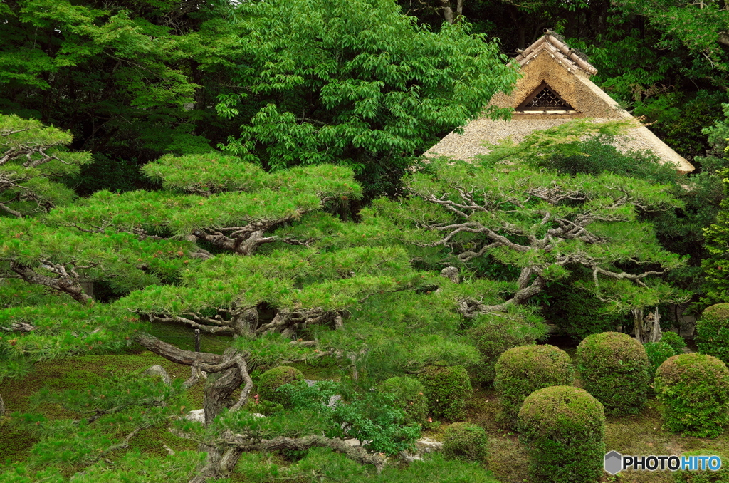竹林院日本庭園