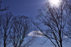 冬の空