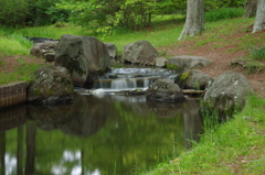 公園のリフレクション