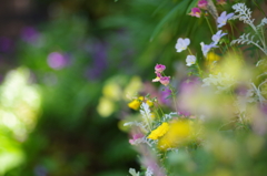 壁掛けの花２