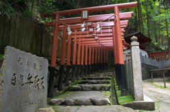 狸谷山不動院の赤鳥居