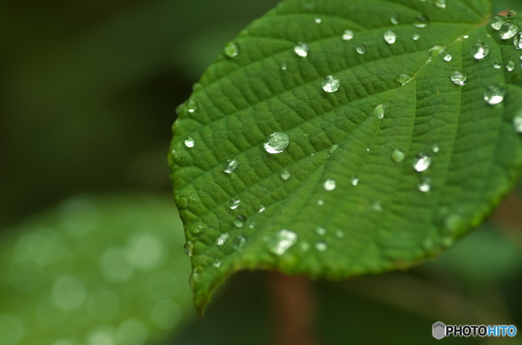 雨あがり