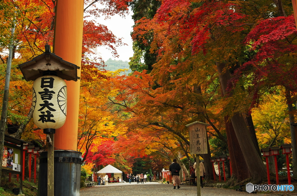 山王鳥居