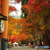 山王鳥居