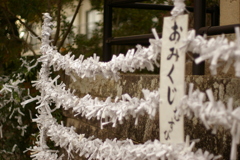 おみくじ結び