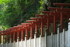 狸谷山不動院の赤鳥居2
