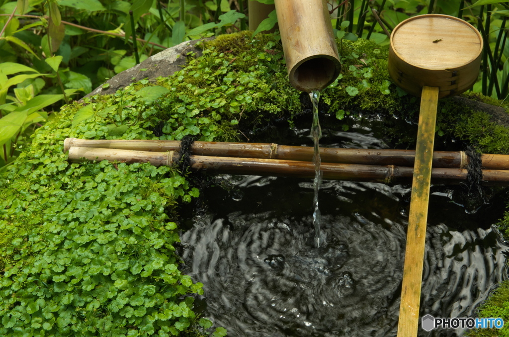苔むした手水舎