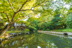 小石川後楽園にて