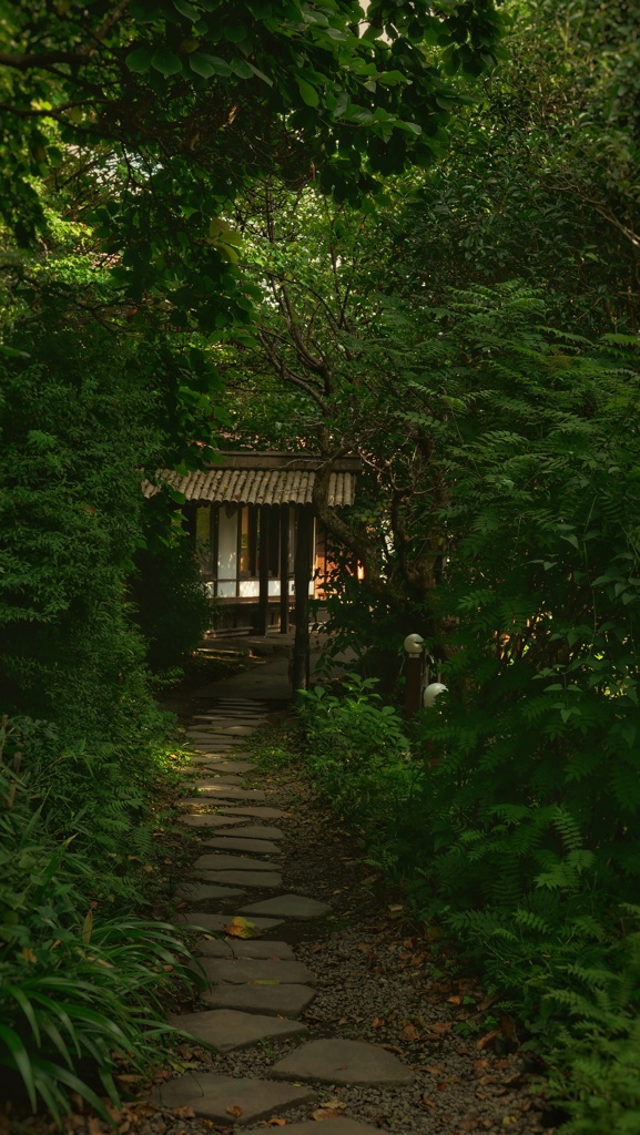枝間の小路