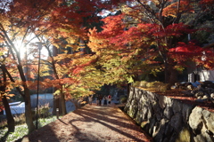 勝尾寺3