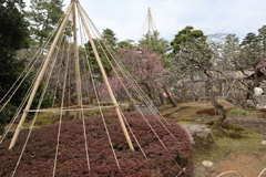兼六園