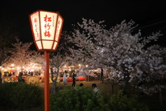 円山公園(京都)