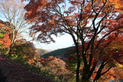 勝尾寺2