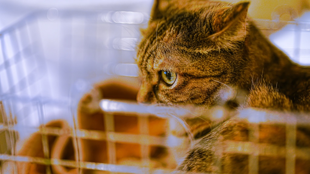 3184480F-8B53-4A6D-A4E8-799103AA4196