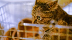 3184480F-8B53-4A6D-A4E8-799103AA4196