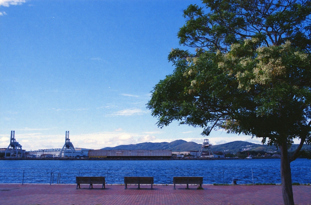 海辺の公園