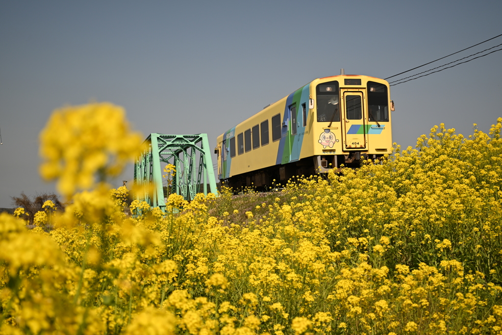 黄金線路