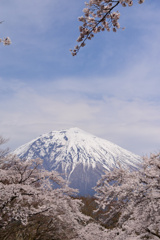 公園墓地にて