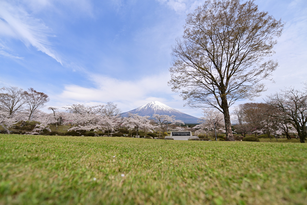 墓地公園にて