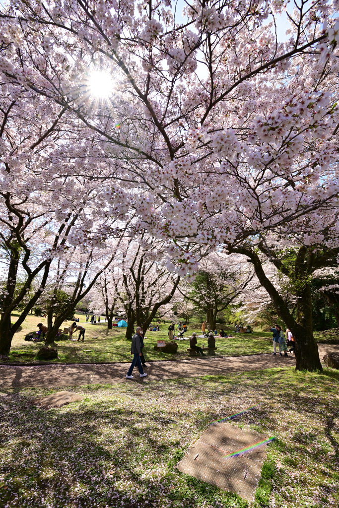 公園にて