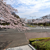 公園墓地にて