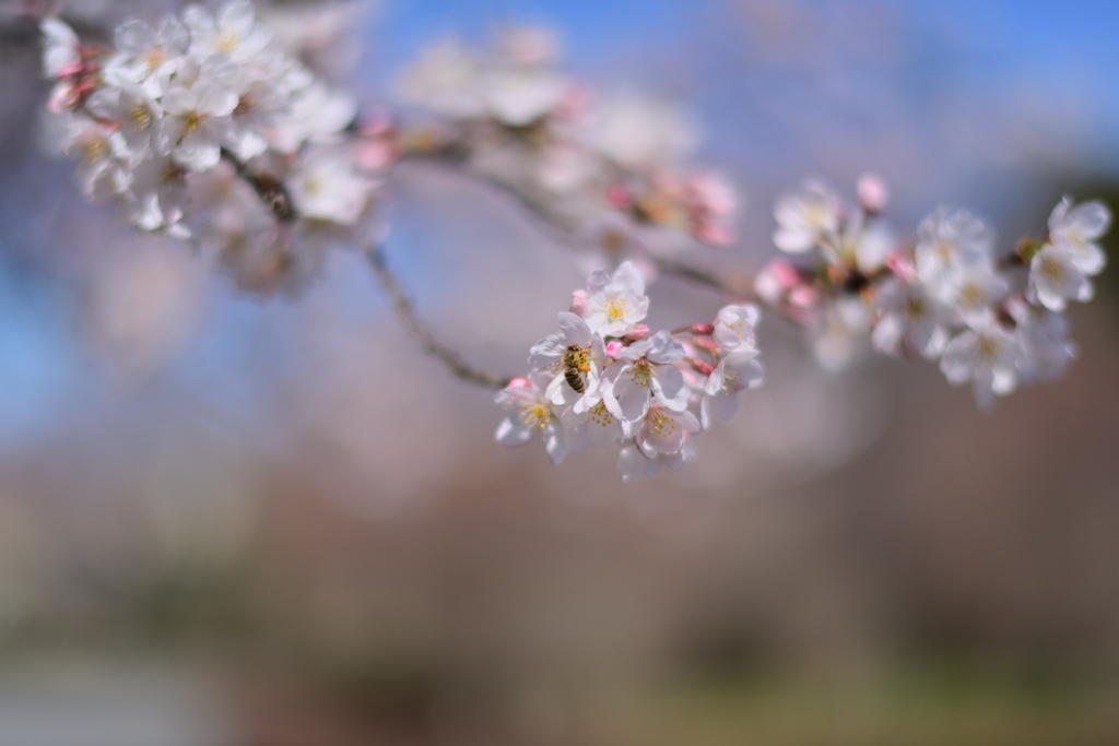 公園にて