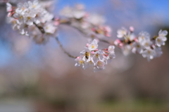 公園にて