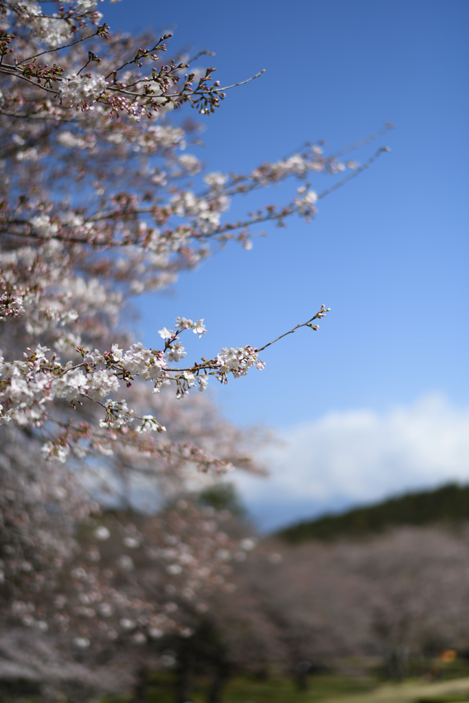 公園にて