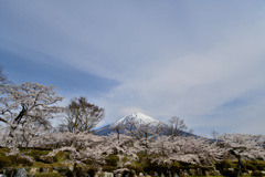 公園墓地にて