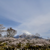 公園墓地にて