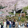 人だかり（公園にて）