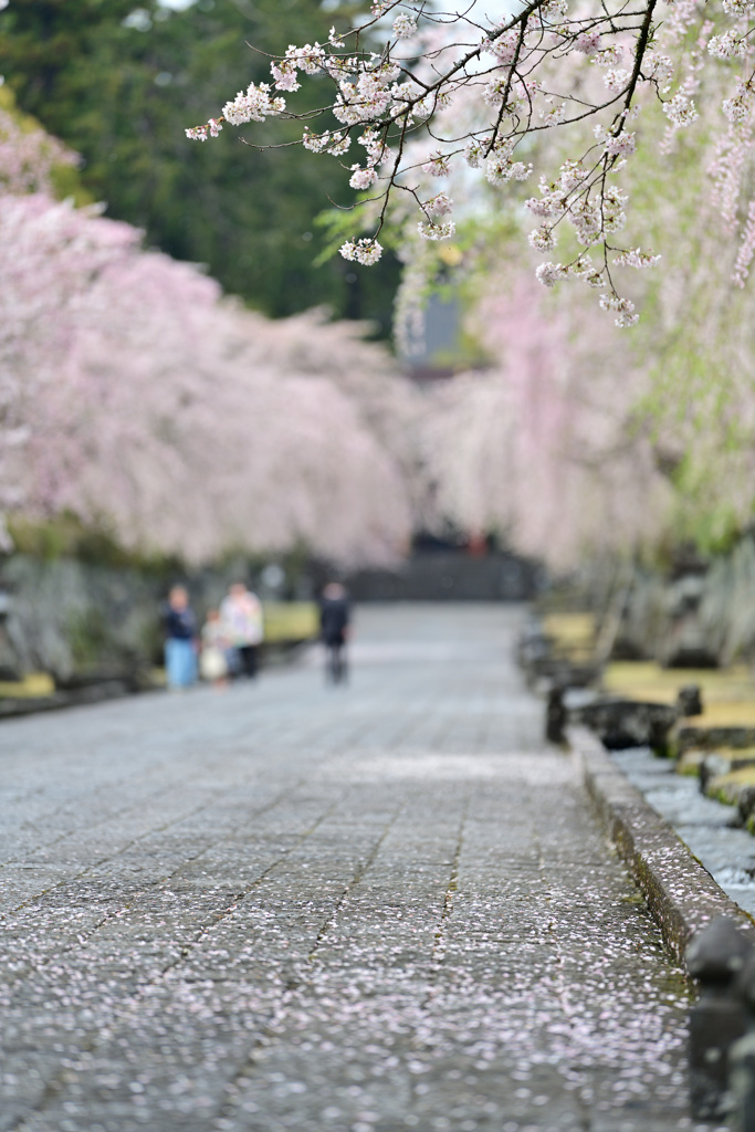 寺院にて