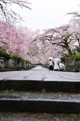 寺院にて