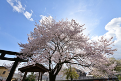 神社にて