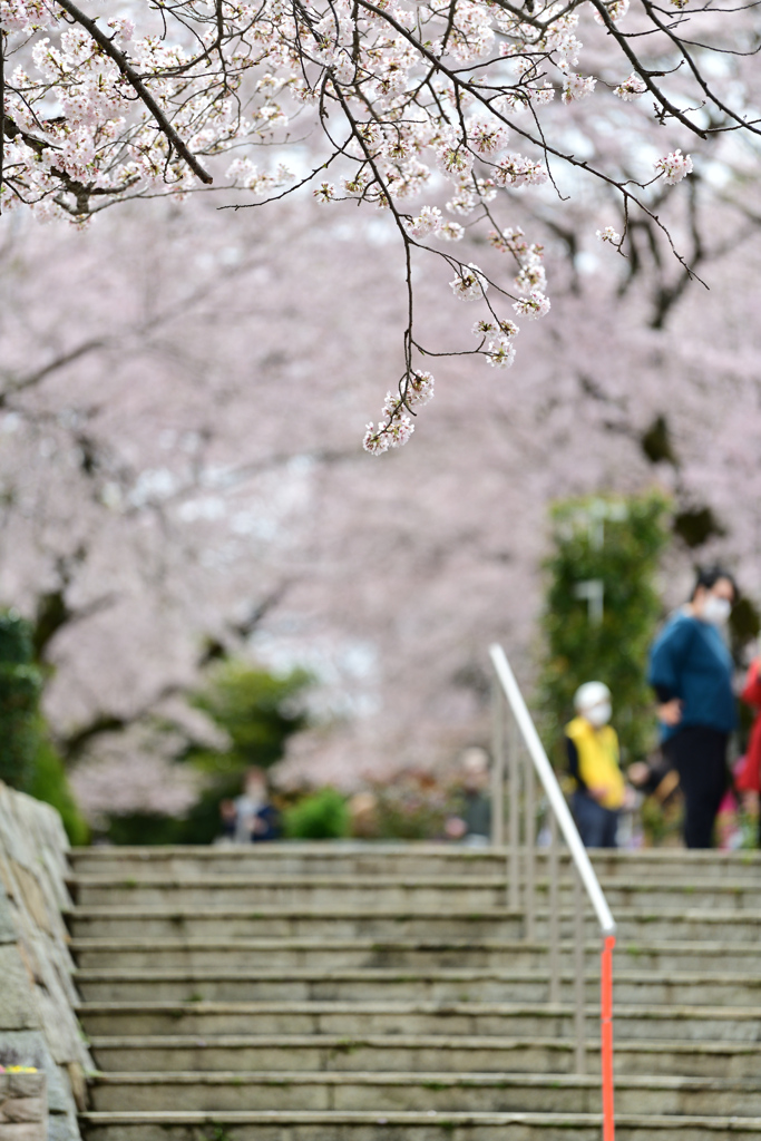 公園にて