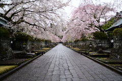 寺院にて