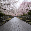 寺院にて