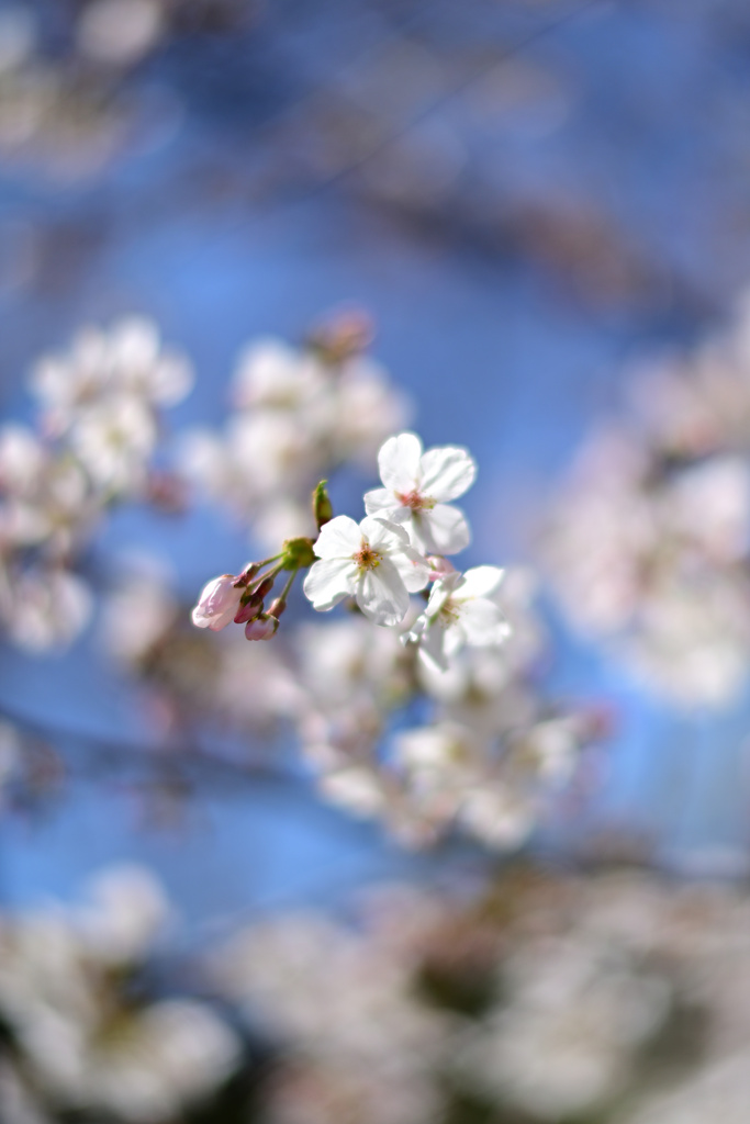 公園にて