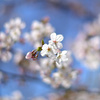 公園にて