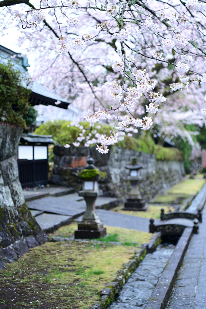 寺院にて