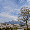 公園墓地にて