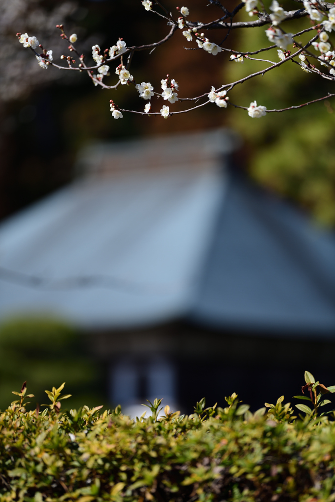 寺院にて