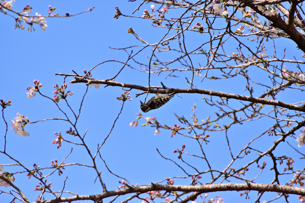 公園にて