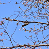 公園にて
