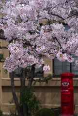 24.04.06 ④