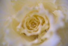 23.02.19 ⑧