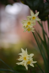 23.02.19 ①
