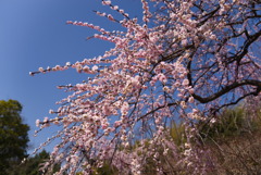 23.03.07 ④