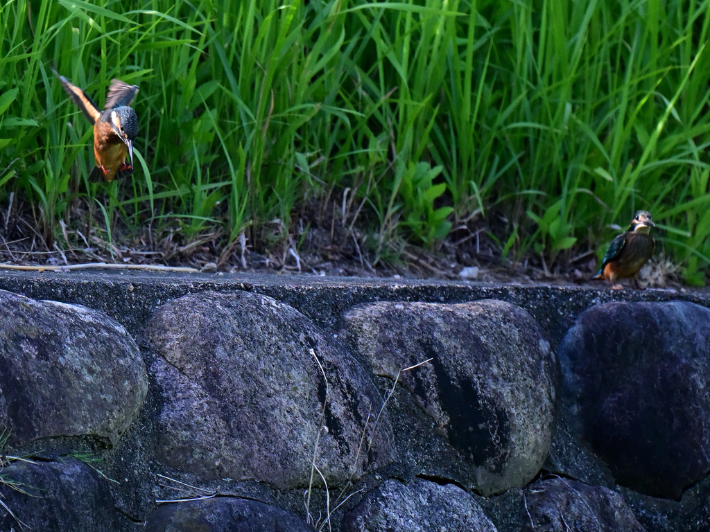 25.08.16 ⑥