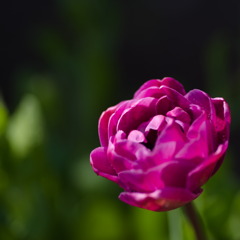 23.04.01 ③